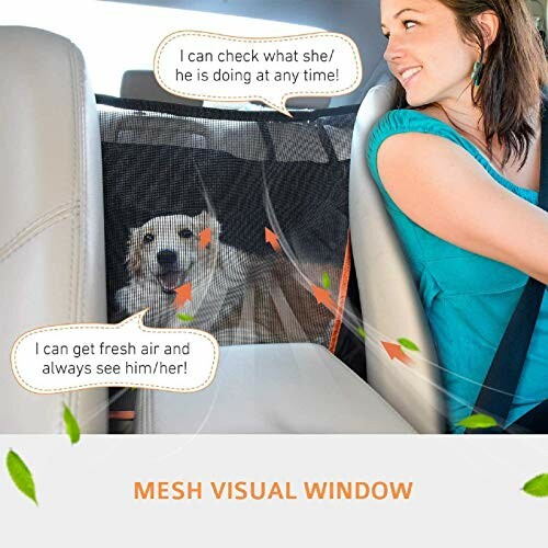 Dog in car with mesh window divider and woman driving