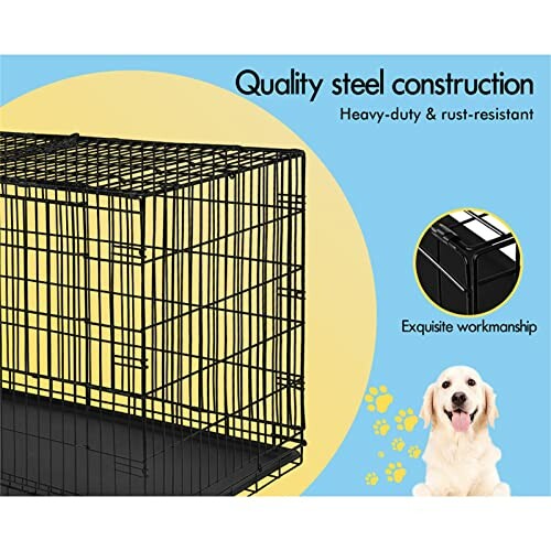 Dog crate with quality steel construction and a golden retriever.