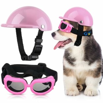 Small Dog Helmet Goggles