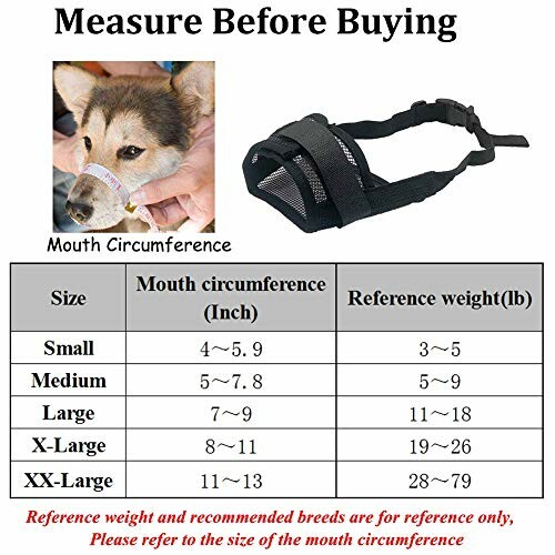 Dog muzzle size guide with measurements and reference weights.