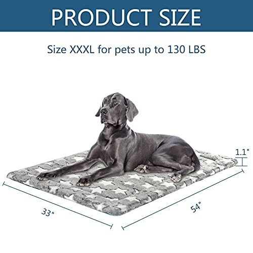 Large dog lying on an oversized pet bed with dimensions and weight capacity.