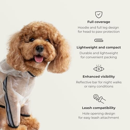 Dog wearing a raincoat with benefits listed: full coverage, lightweight, enhanced visibility, leash compatibility.