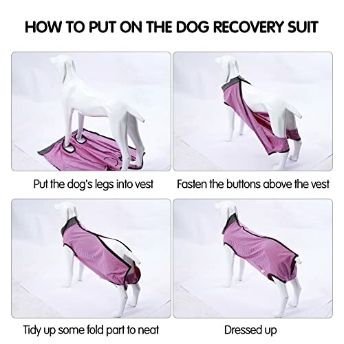 Instructions for putting on a dog recovery suit in four steps.