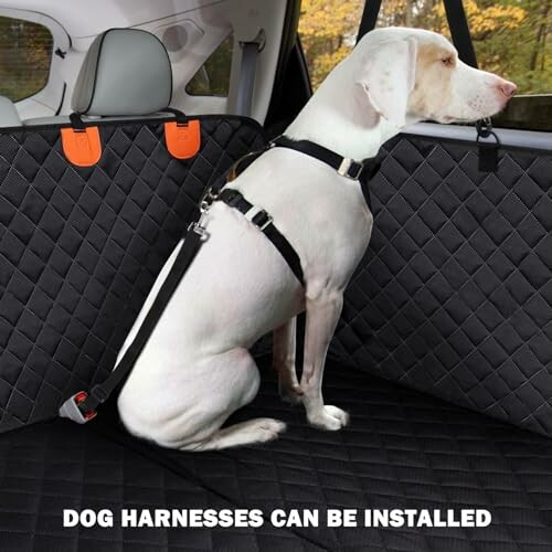 Dog wearing harness sitting in a car seat cover