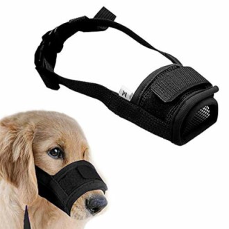 Coppthinktu Muzzle