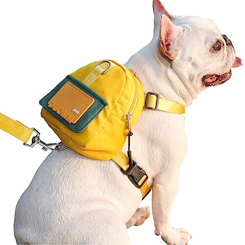 White dog wearing a yellow backpack harness.