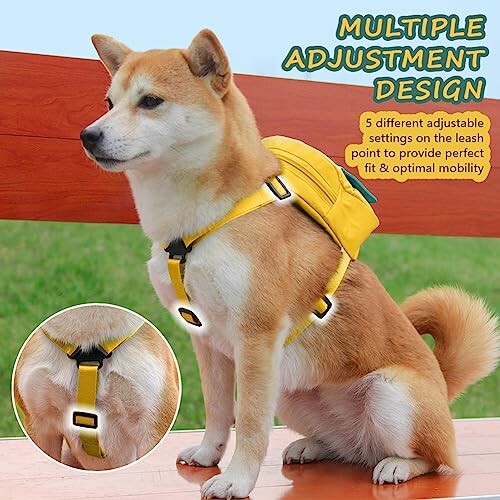 Dog wearing a yellow harness and backpack with multiple adjustment design.