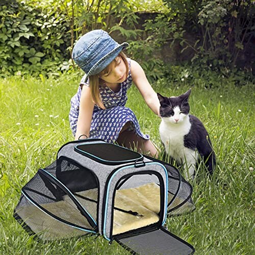 Young girl in a blue dress and hat petting a black and white cat next to a portable pet carrier outdoors.