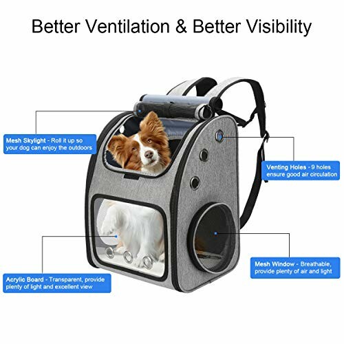 Pet carrier backpack with mesh skylight and ventilation holes.