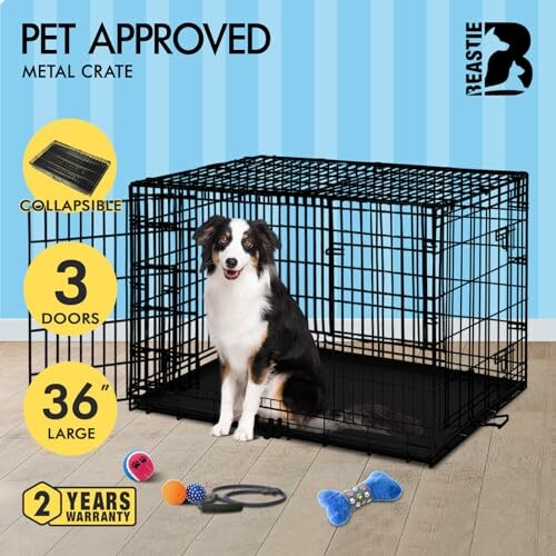 Metal pet crate with a dog inside, collapsible, 3 doors, 36 inches large.